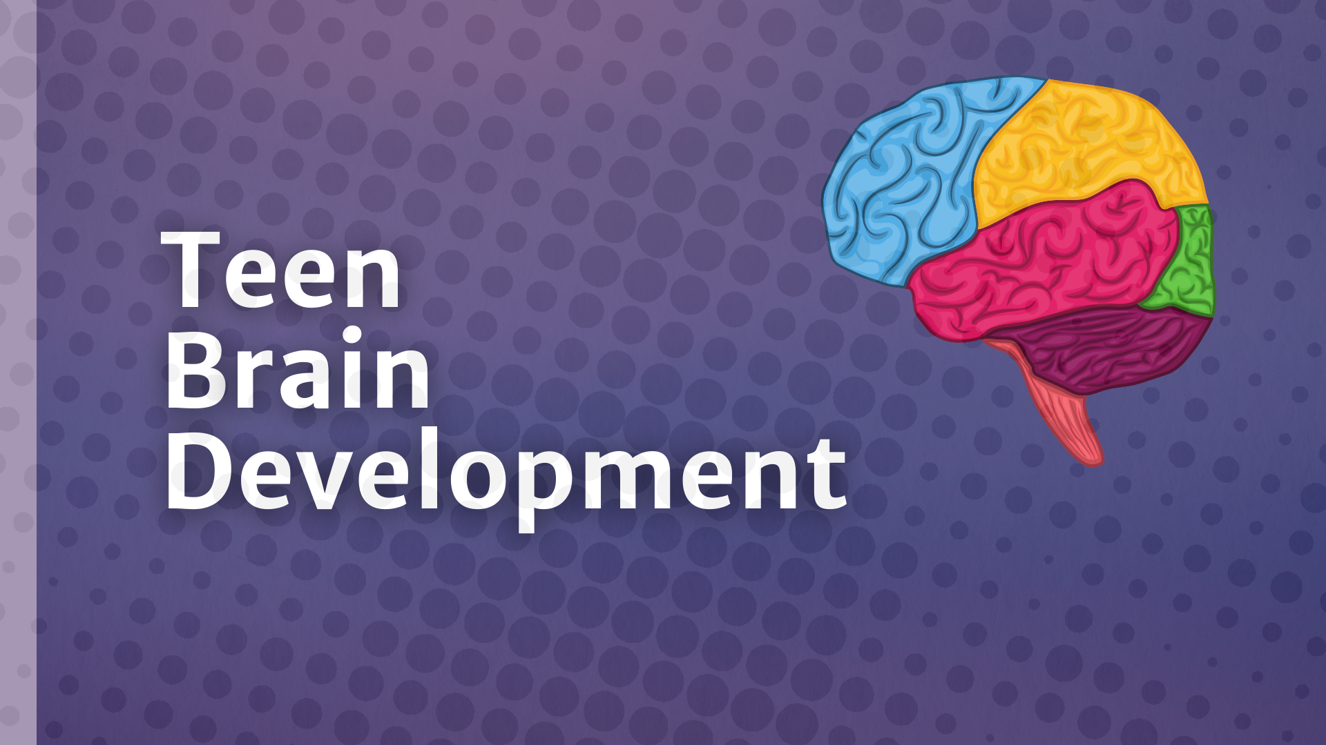 Developing the Teen Brain